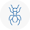 Ant Removals In Audenshaw