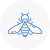 Bee Nest Removal Audenshaw