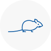 Mice Exterminators In Audenshaw
