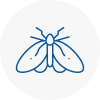 Moth Control Specialists In Audenshaw