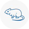 Rat Control Audenshaw