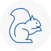 Audenshaw Rodent Removals